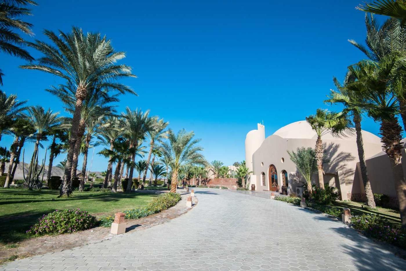 Abū Ghuşūn Shams Alam Beach Resort מראה חיצוני תמונה